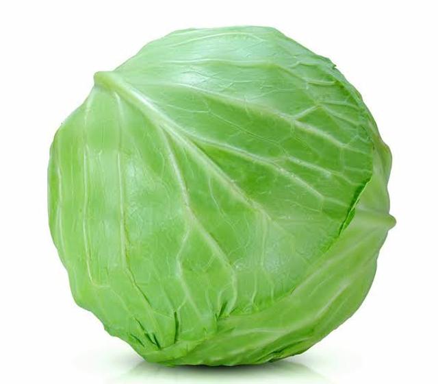 Cabbage