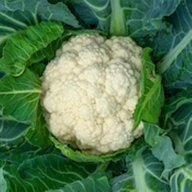 Cauliflower