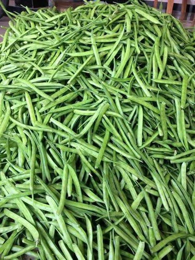 Cluster Beans Variety