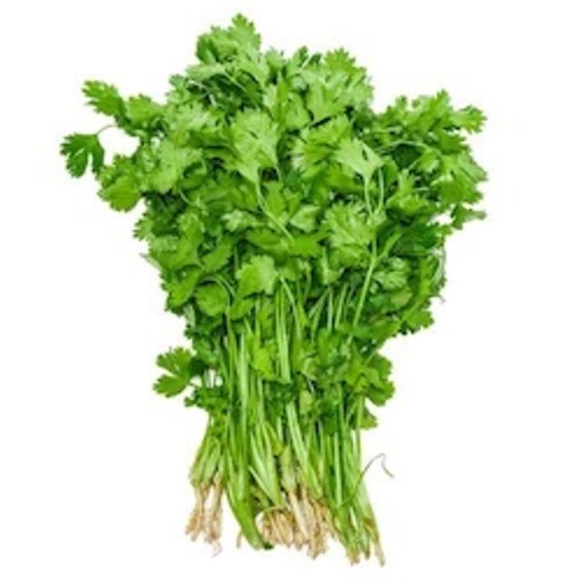 Coriander Leaves