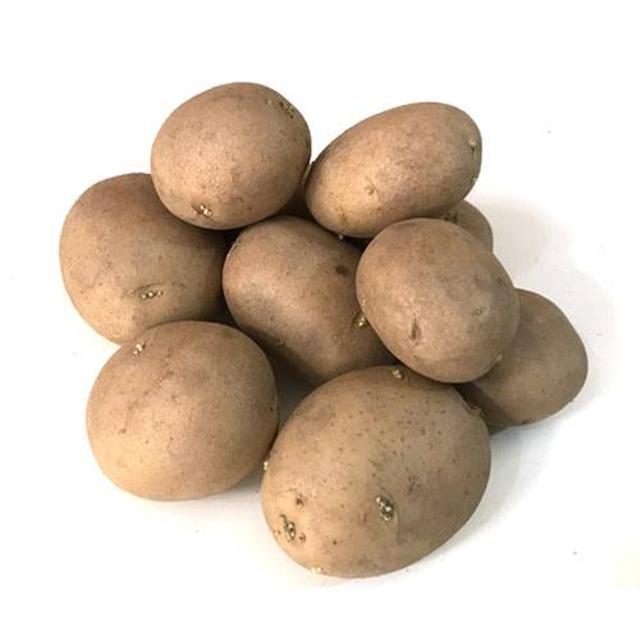 Potato Haldhwani