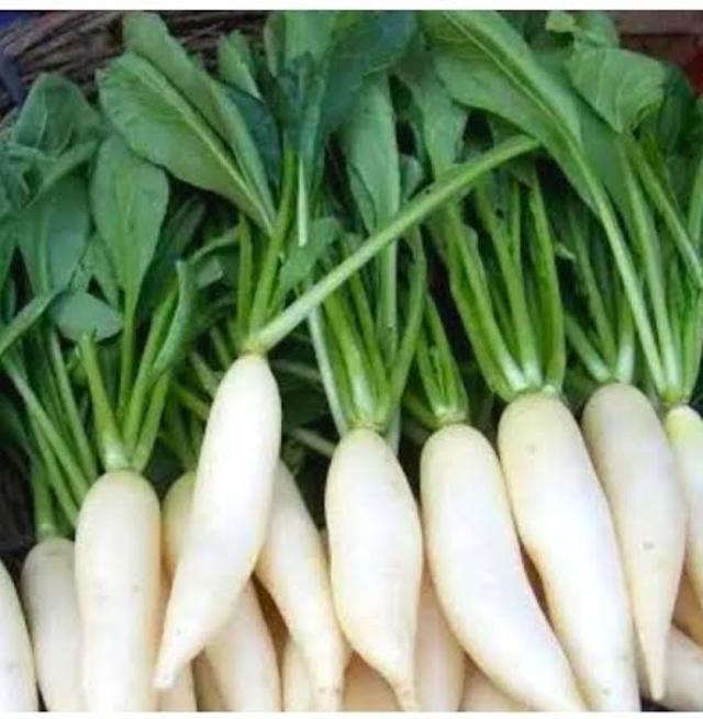 Radish