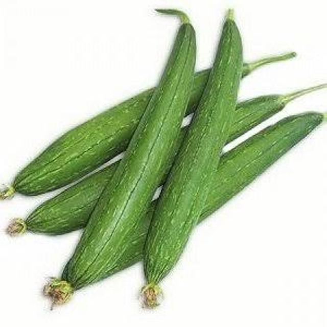 Ridge Gourd