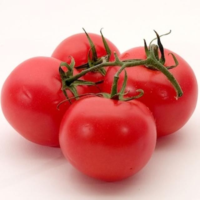 Tomato